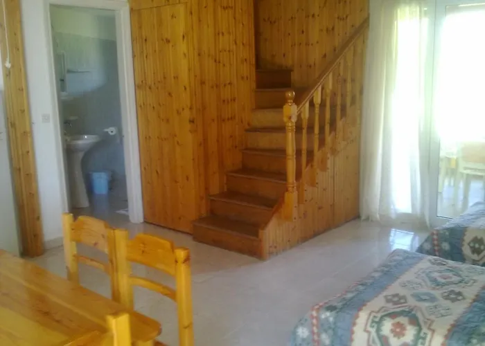 Odyssia * קאטליוס